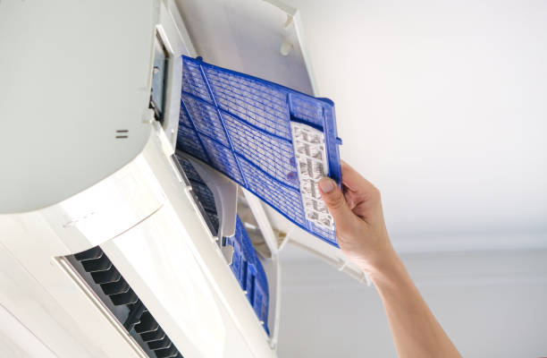 Air Duct Mold Removal in Davis, CA